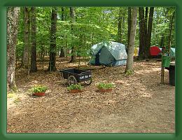 SummerCamp (35) * 3264 x 2448 * (2.97MB)